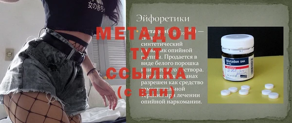гидра Ельня