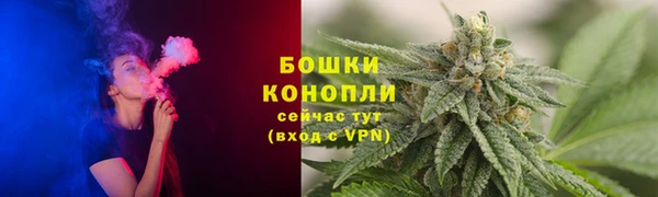 гидра Ельня