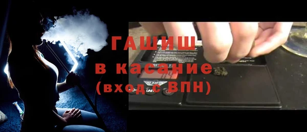 гидра Ельня