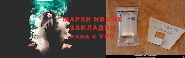 гидра Ельня