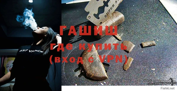гидра Ельня