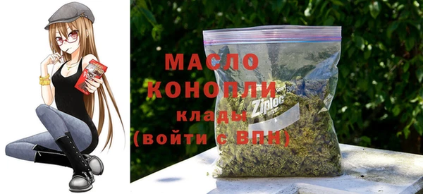 гидра Ельня