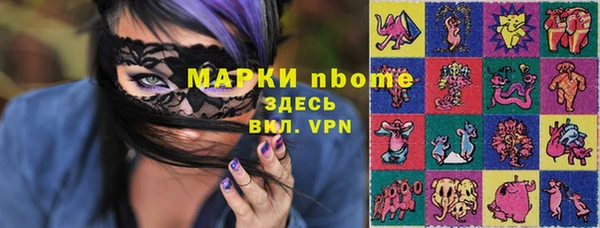 гидра Ельня