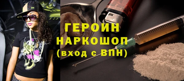 гидра Ельня