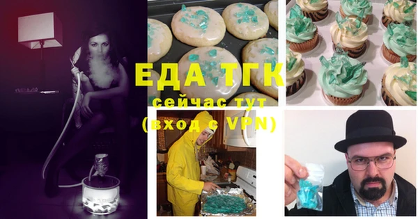 гидра Ельня
