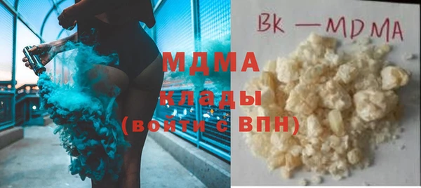 гидра Ельня