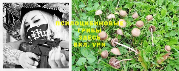 Альфа ПВП Елабуга