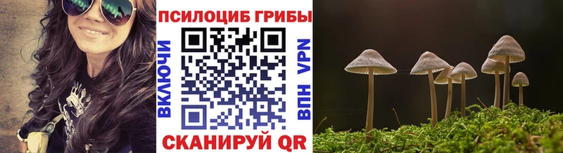 Псилоцибиновые грибы Magic Shrooms  Купить  Родники 